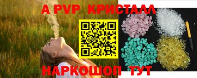 стафф Лесосибирск