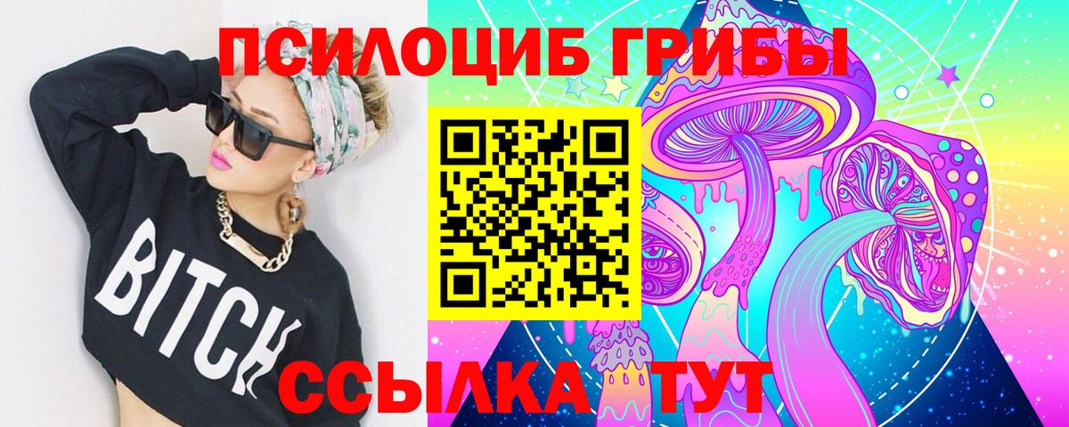 Домодедово  наркота  Вход с VPN  Галлюциногенные грибы Psilocybine cubensis 